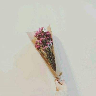 重装机兵5花火破解版下载